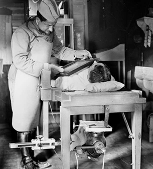 ECPAD - SPA 26 L 1432 - Le secteur de Saint-Hubert, salle de radiologie. - juil-16 - Samama-Chikli, Albert ECPAD - SPA 26 L 1432 - Le secteur de Saint-Hubert, salle de radiologie. - juil-16 - Samama-Chikli, Albert