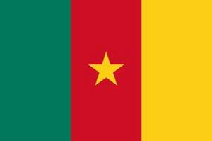 DrapeauCameroun©WikiCommons