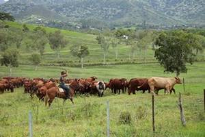 Copyright Néo Productions Copyright Néo Productions