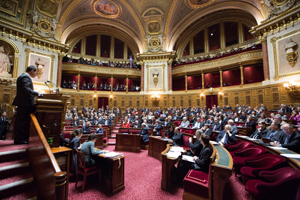 En séance au Sénat En séance au Sénat