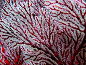 Crédits photographiques : Lionel Loubersac Crédits photographiques : Lionel Loubersac