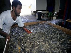 Crédits photographiques : Jean-François MARIN Crédits photographiques : Jean-François MARIN