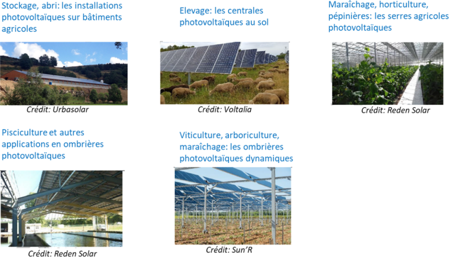 PDF) Intégration agriculture-élevage: Base de durabilité des systèmes de  production et source de création d'emplois