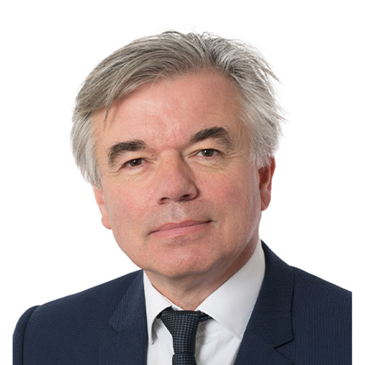 Alain Houpert lection presidentielle 2022, candidat